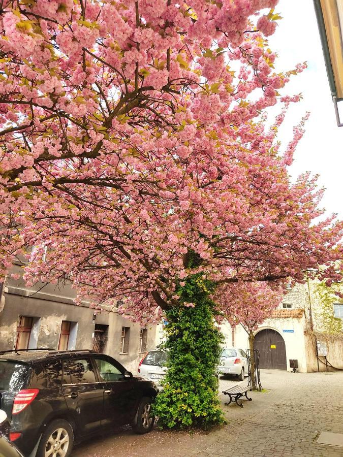 Apartament Przy Zamku Pszczyna Luaran gambar