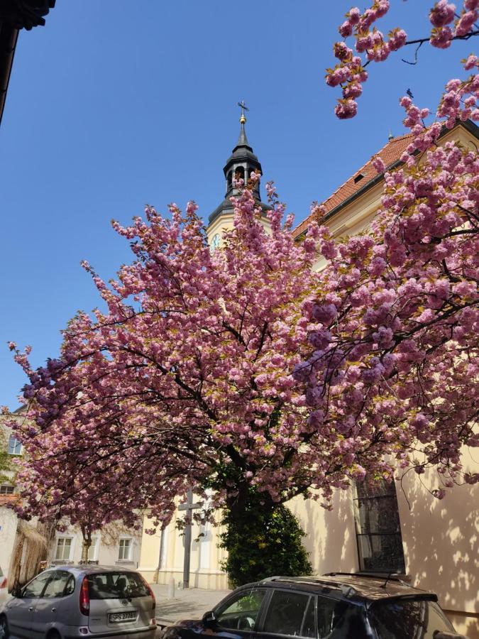 Apartament Przy Zamku Pszczyna Luaran gambar